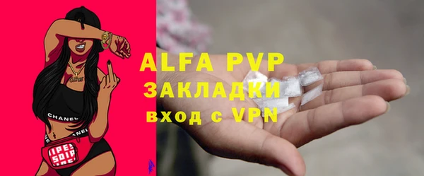 СК Алексин