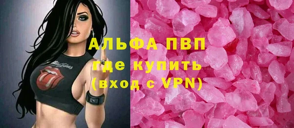 СК Алексин
