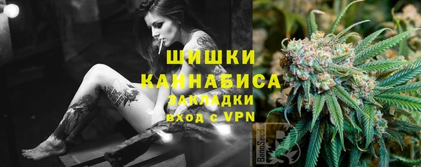 СК Алексин