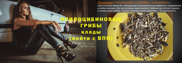 эйфоретик Алексеевка